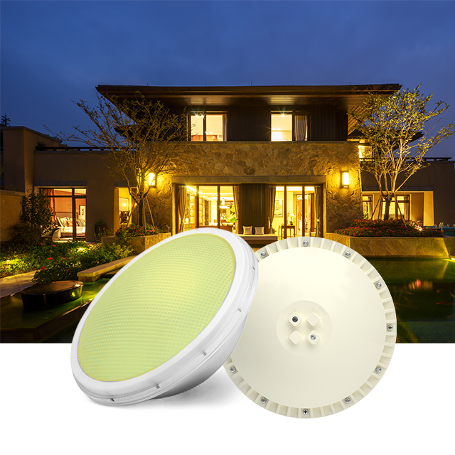 Luce piscina a LED par56