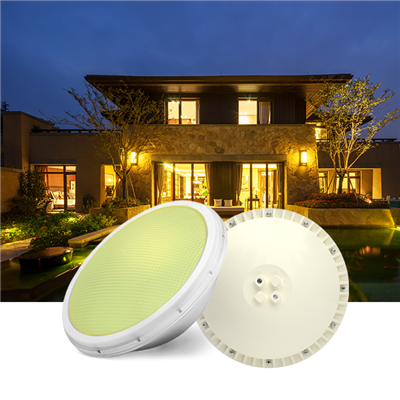 Luce piscina a LED par56